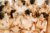 Placeholder image for Don't become bridezilla with this advice for new …